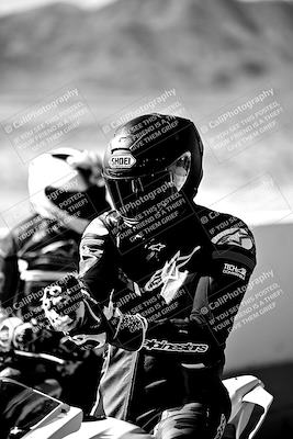 media/Mar-25-2024-Moto Forza (Mon) [[8d4319bd68]]/1-Around the Pits/